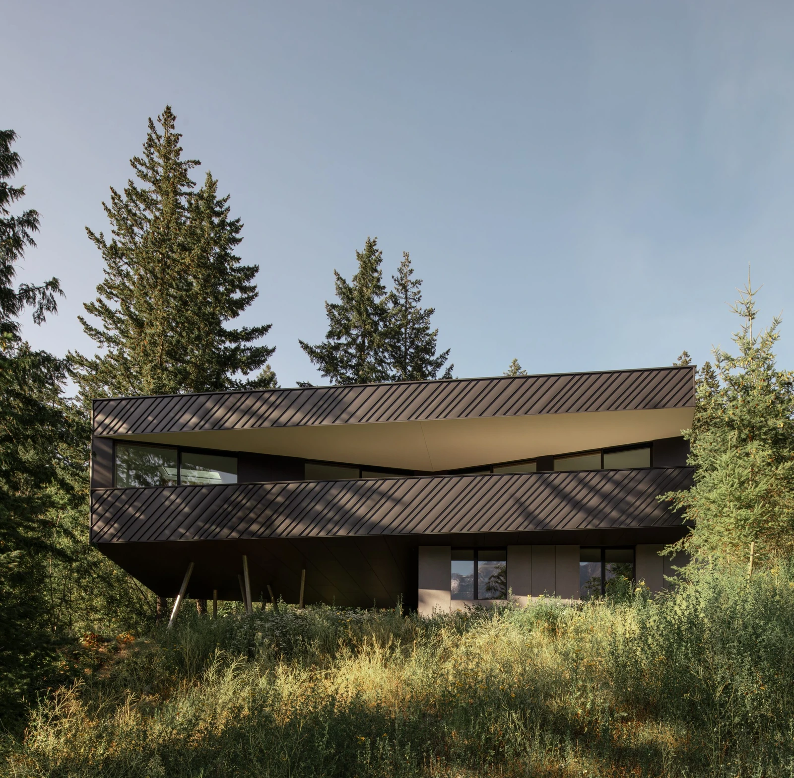 Contemporary building in forest landscape